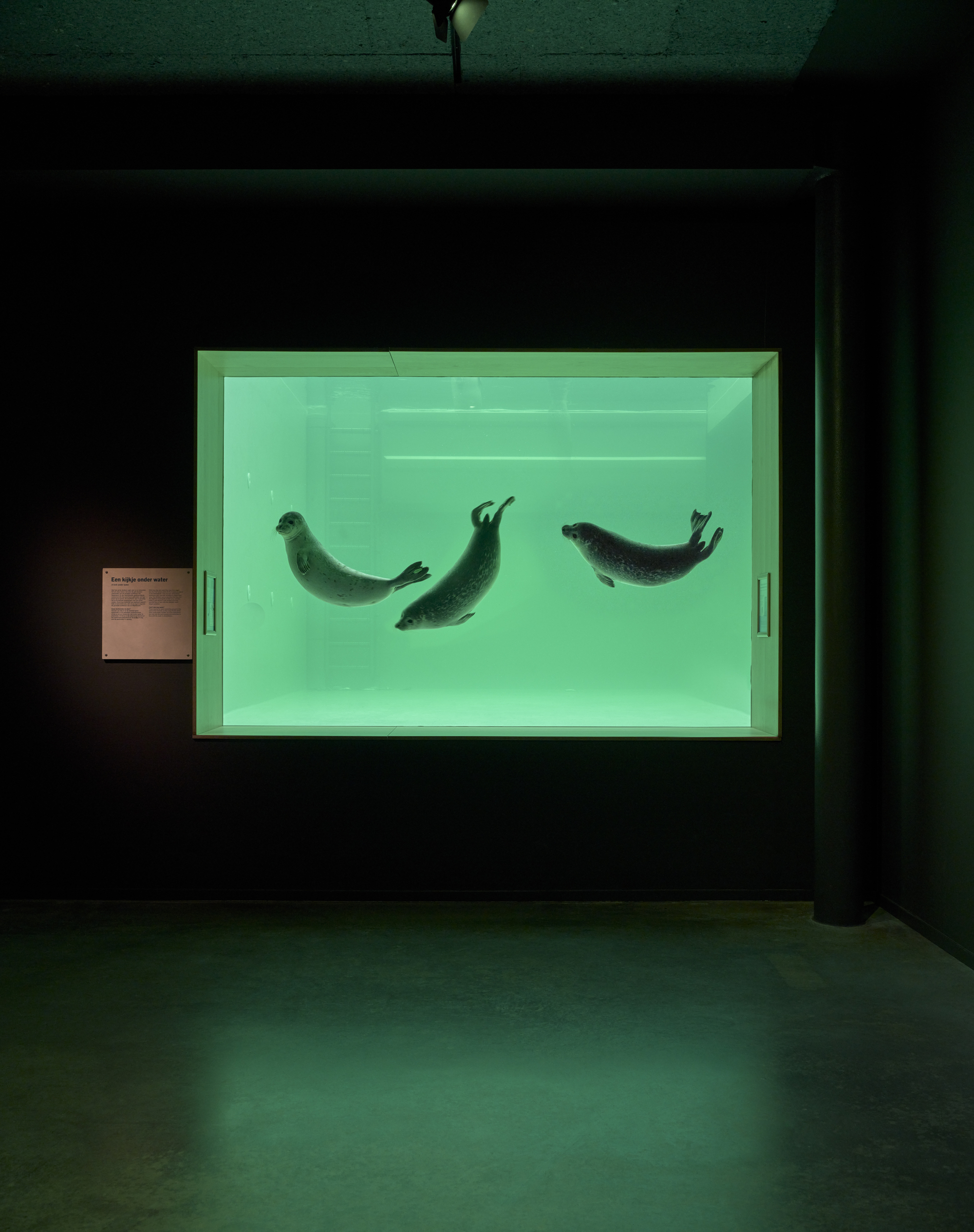 瓦登海世界遗产中心丨荷兰丨Dorte Mandrup-44