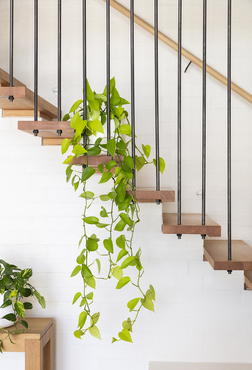 Macdonald Road 住宅丨澳大利亚珀斯丨Philip Stejskal Architecture-79