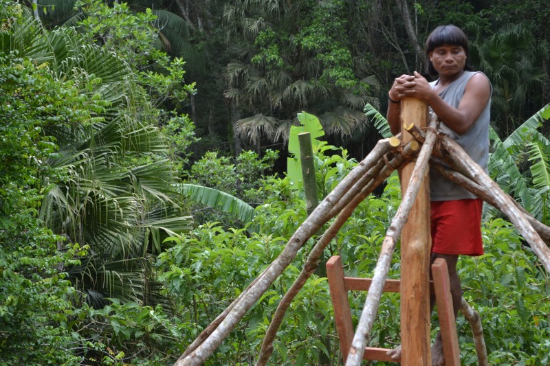 AD  TibA'uwe与巴西原住民的建筑融合项目丨Peter Van Lengen和Tsito´ti-12