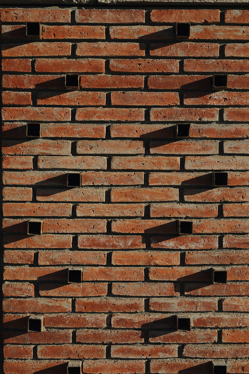 Parque Primavera Oaxaqueña Cho Ndobá城市更新丨墨西哥丨RootStudio-53