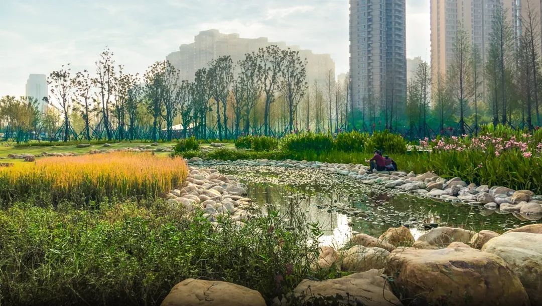 长沙圭塘河生态公园 | 城市与自然的和谐交响-11
