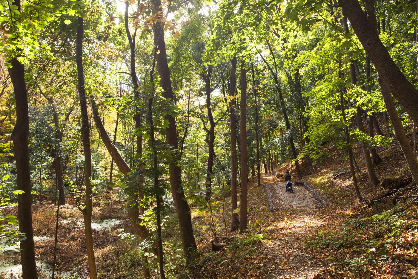 Projects - West Point Foundry Preserve  -14