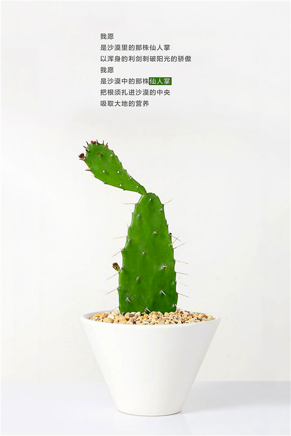 北欧清新卧室书房-14