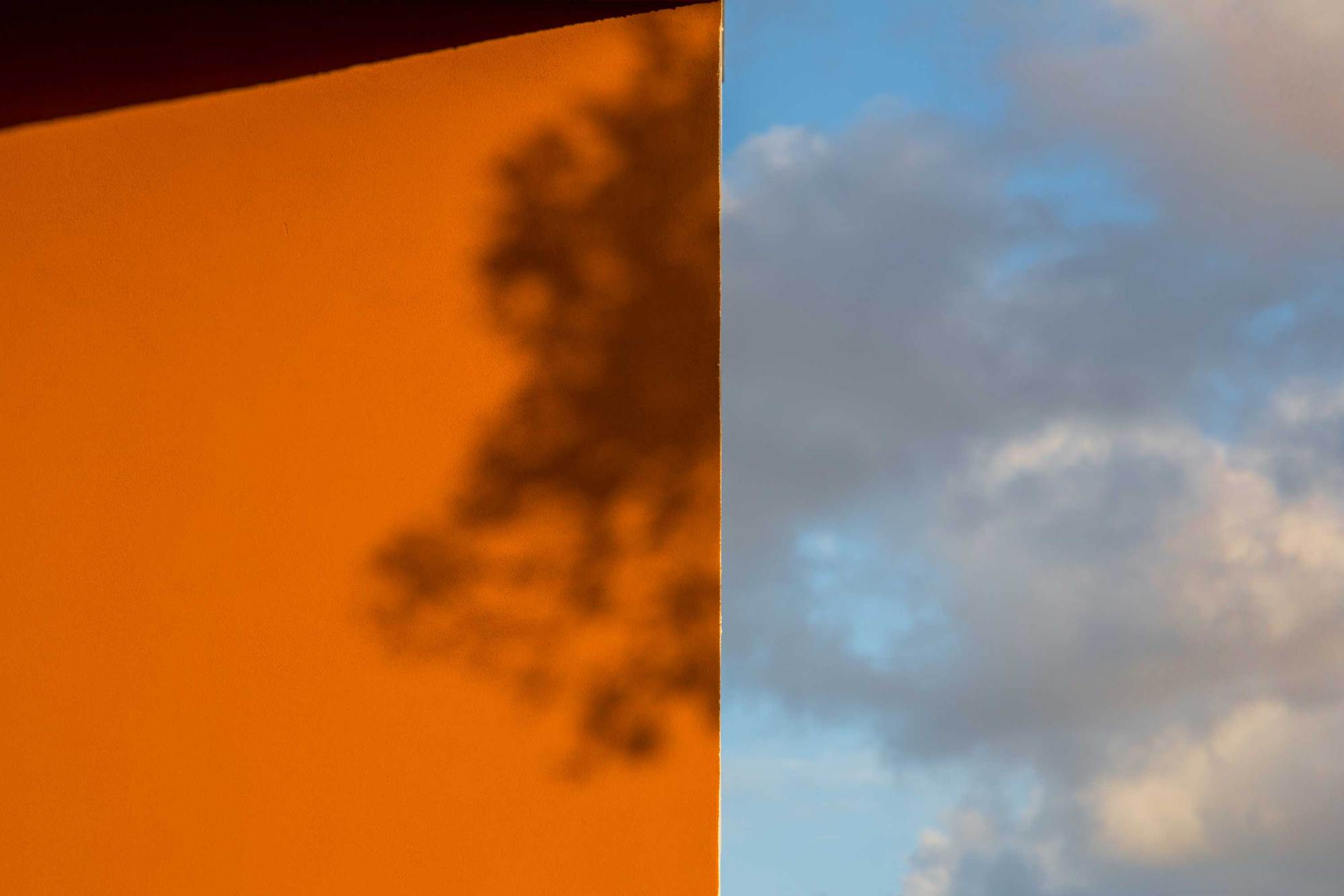 Destilaria de Medronho 设计丨葡萄牙丨ARDE Arquitetura + Design-19