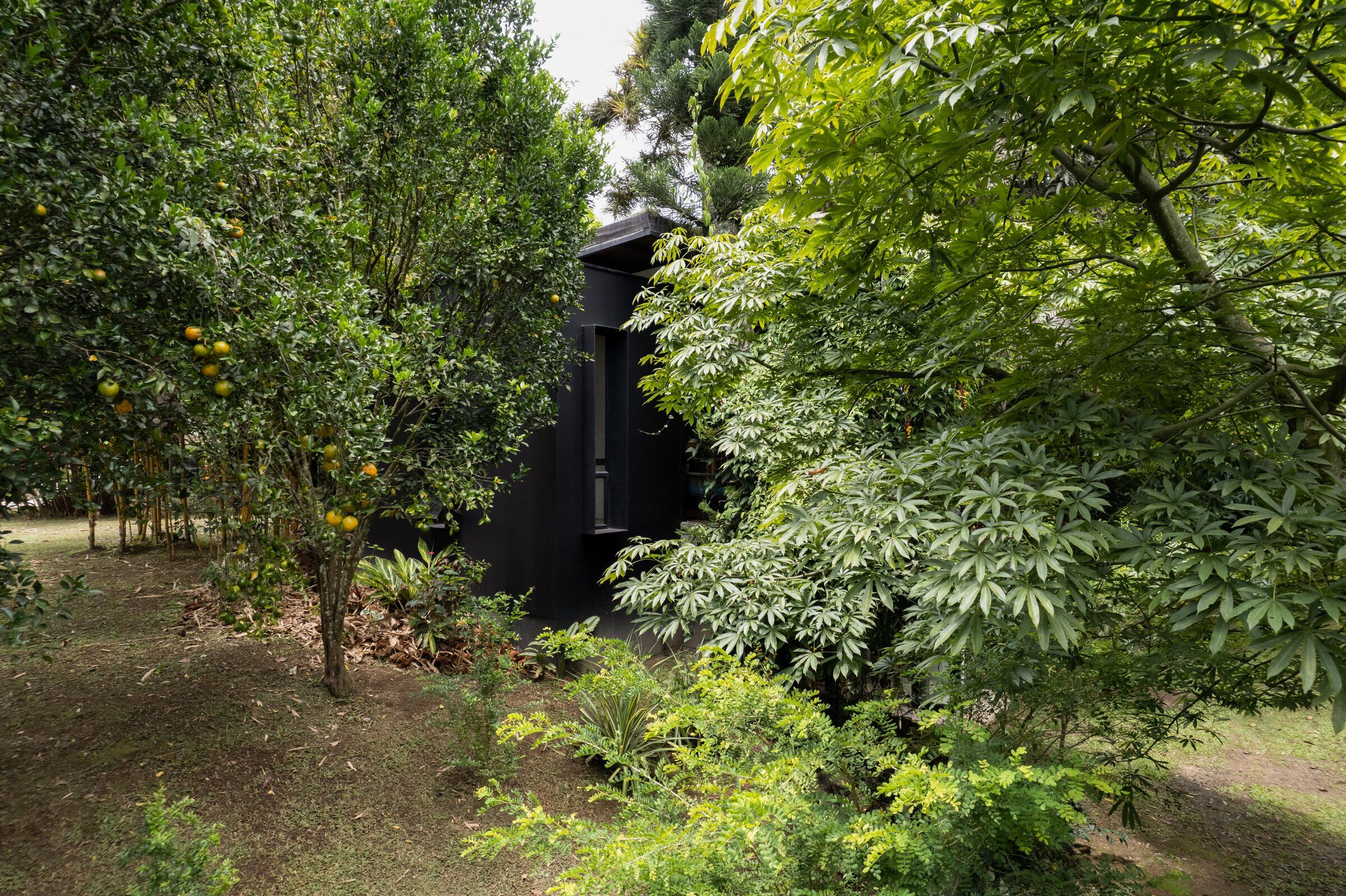 哥伦比亚湖畔木结构别墅丨esa Arquitectura-34