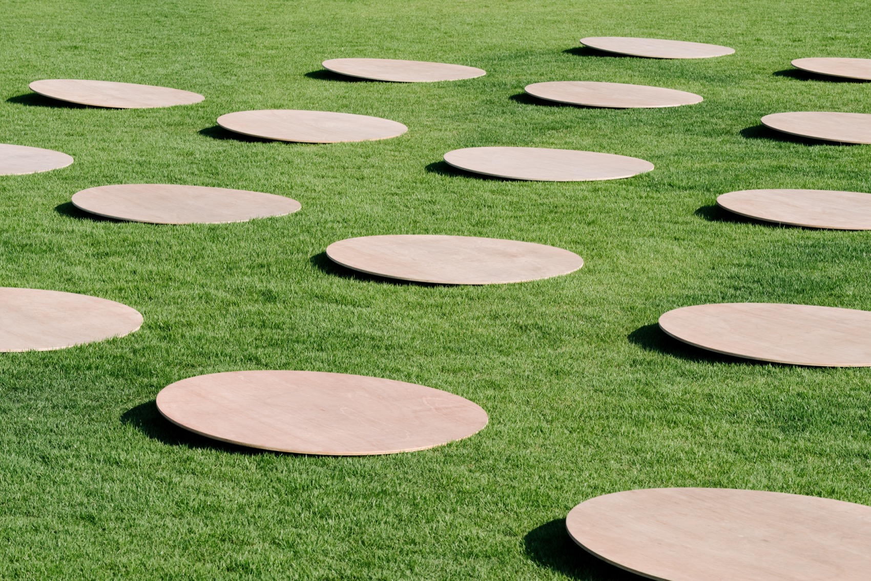 适应症36丨RID®︎-13