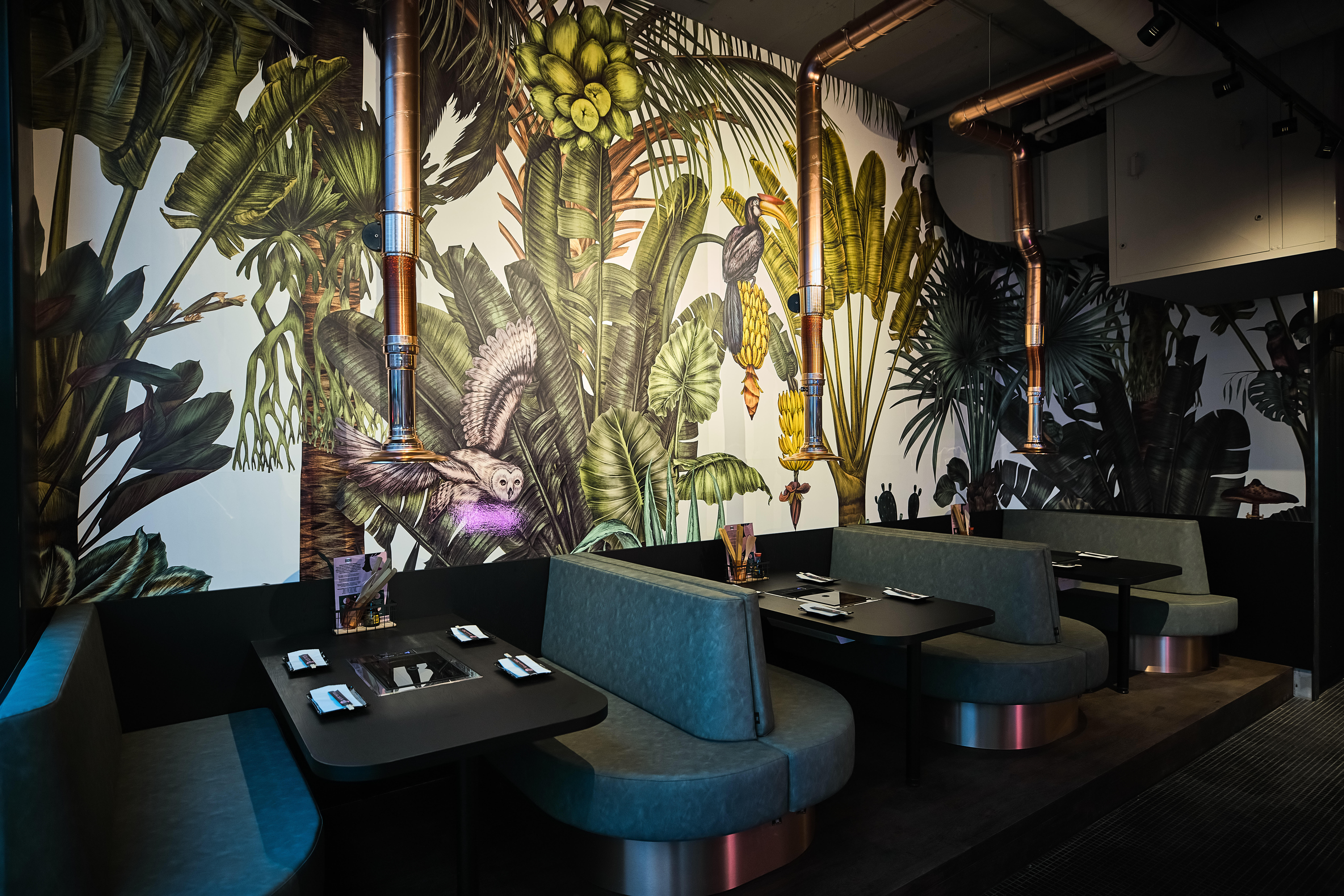 Birds House,Wallpaper 系列丨荷兰鹿特丹-9