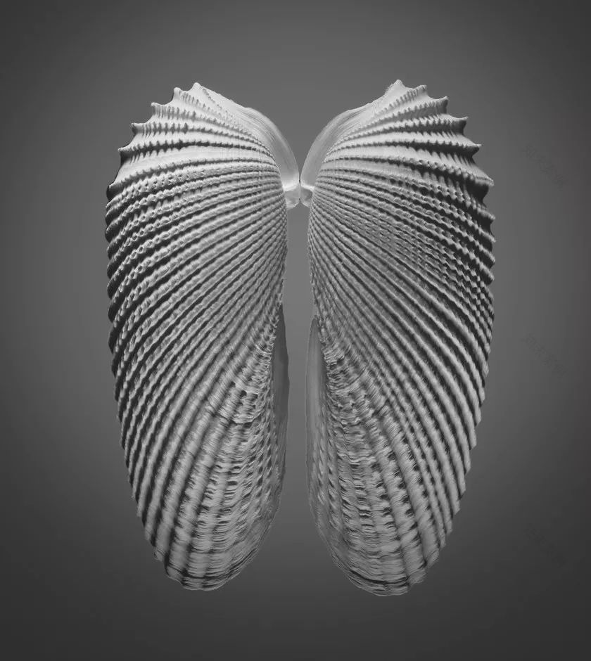 捷报▏青岛海岸线再添新地标!世茂悦海以自然之名,塑写时代美学【实景呈现】-71