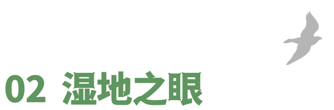 南沙湿地观鸟艺术竹构丨中国广州丨竖梁社,华南理工大学建筑学院-37