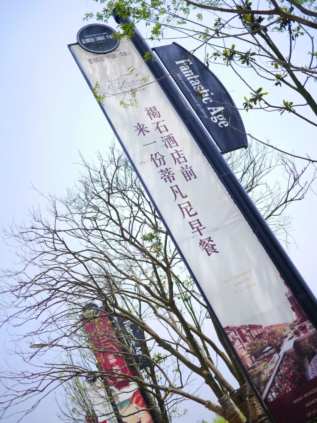 金地艺华年 | 褐石街区的经典浪漫-16