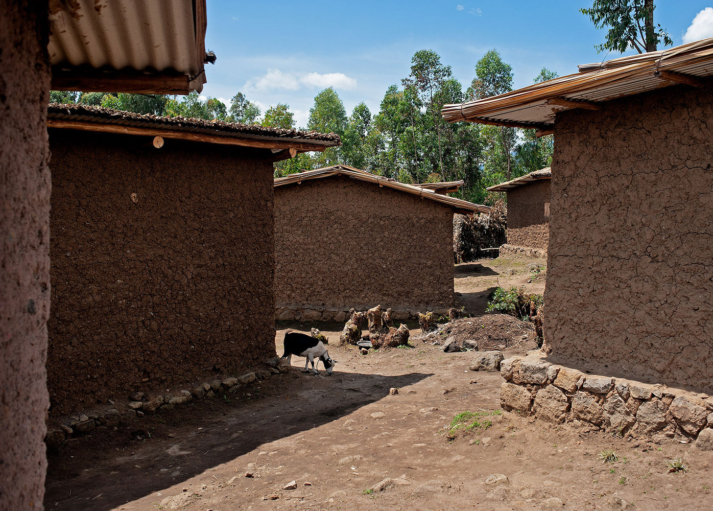 Gahinga Batwa Village  Studio FH Architects-53