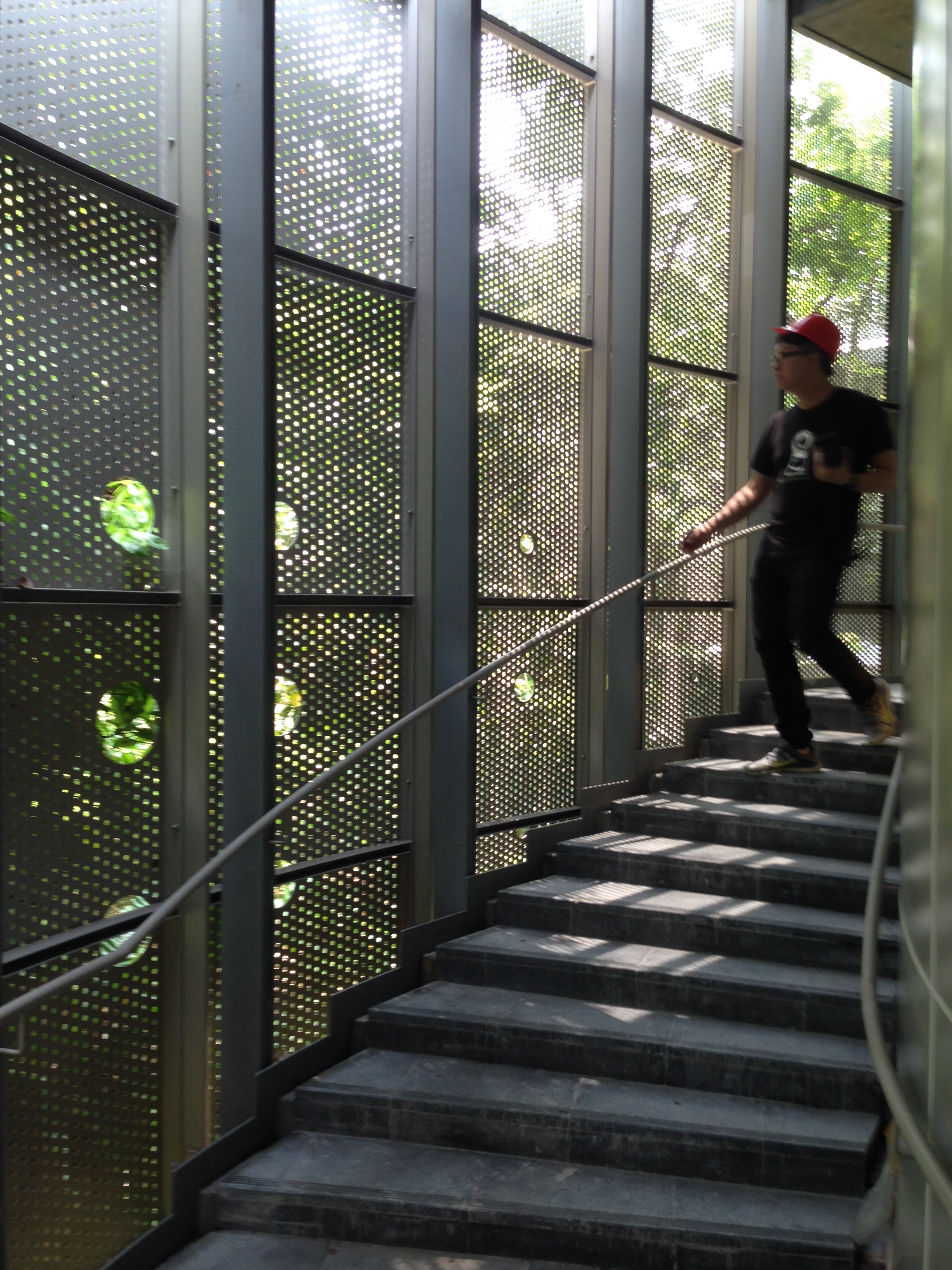 《感知自然》生态馆_上滕联合建筑师事务所-26