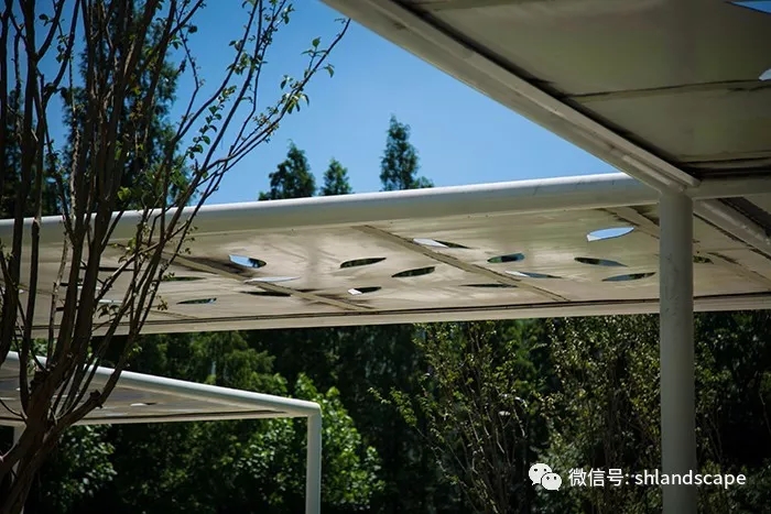 上海浦东世纪大道改造提升工程-81