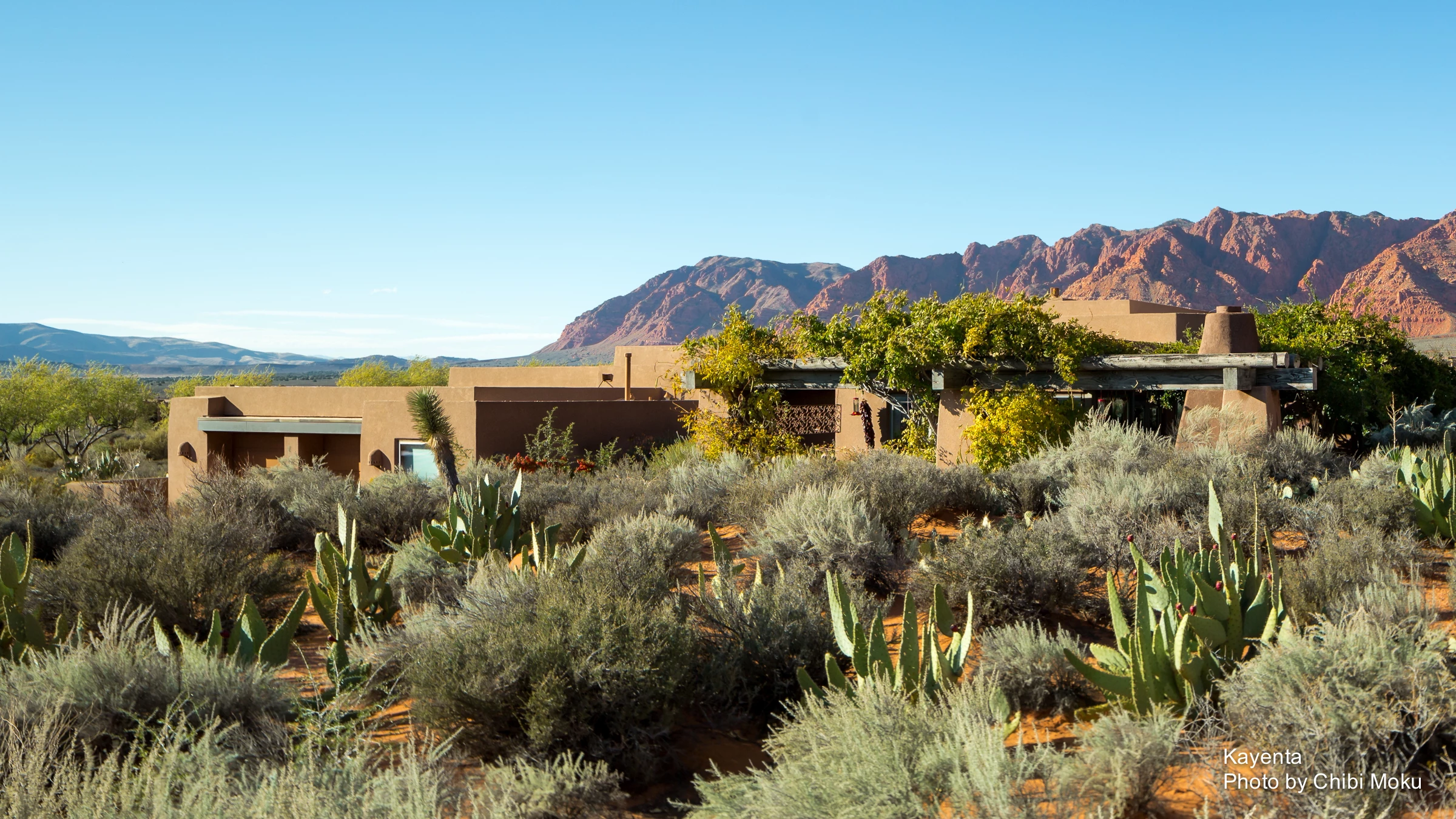 沙漠中的艺术社区-12