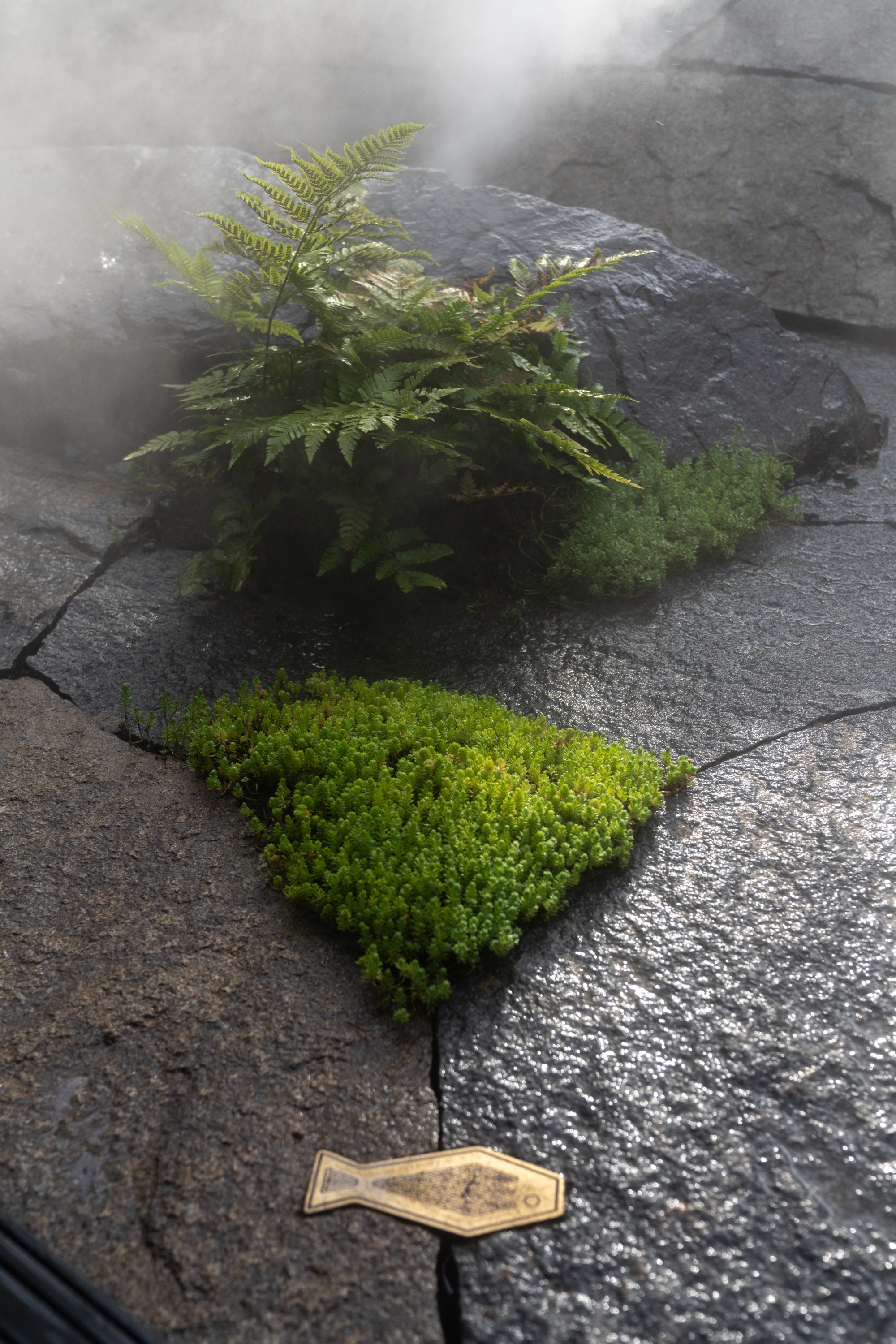 苏州建发·檀府丨中国苏州丨广州知行景观规划设计有限公司-91