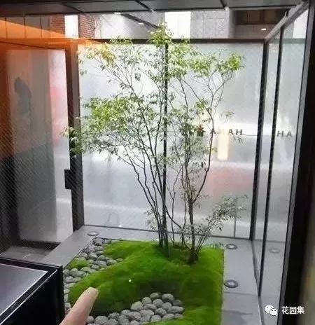 最美不过苔造园,探寻东方庭院的诗意之美-10