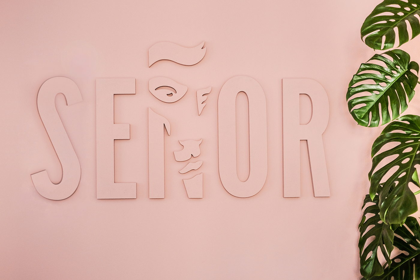 克罗地亚广告公司 Señor 总部办公空间，打造多彩创意办公环境-0