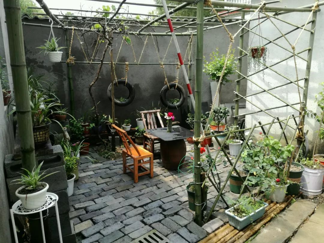 大叔也爱养花，3天造出个小花园，一分钱没花！-22