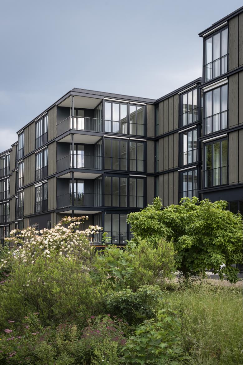 Riedacker 住宅区丨瑞士苏黎世丨EMI Architekt*innen-0