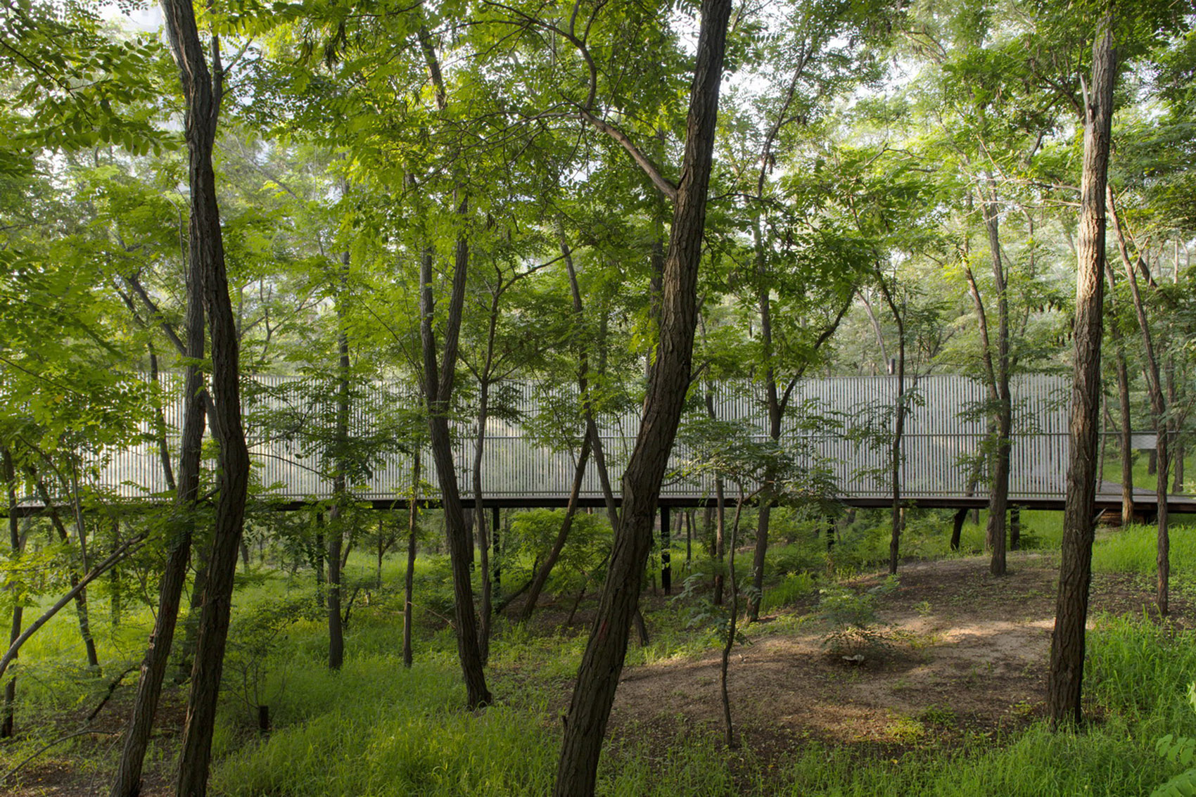 阿那亚儿童农庄,秦皇岛 / 张唐景观-78