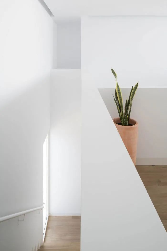 奇普和乔普之家丨西班牙丨David Ruiz Molina-46