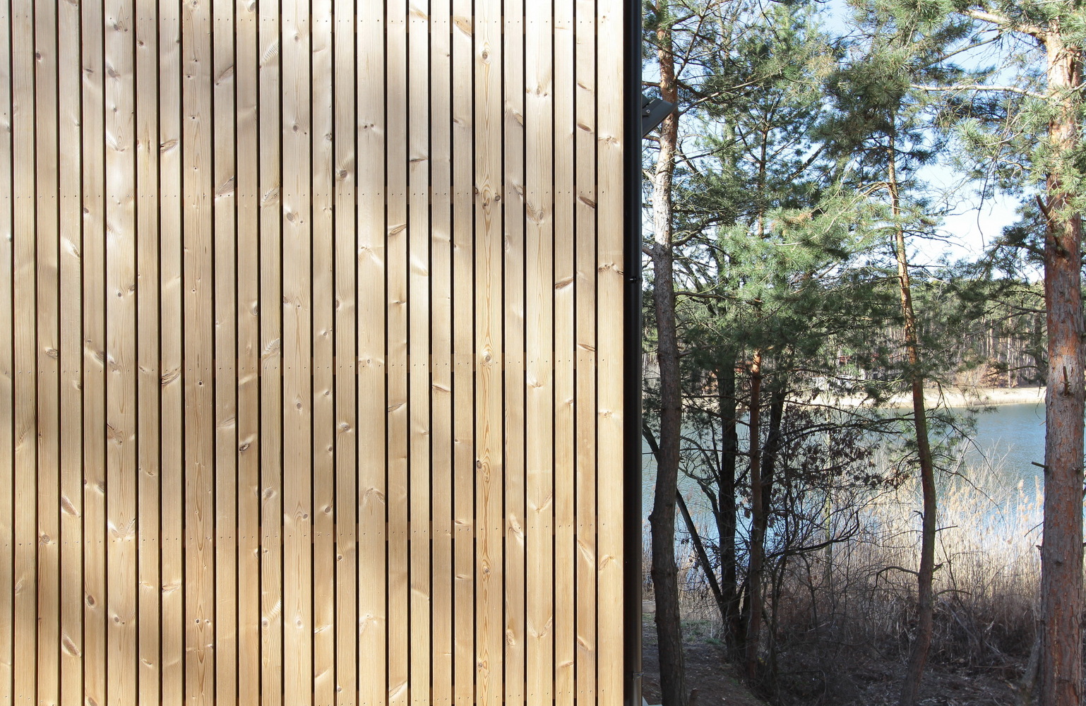 嵌入林地的周末别墅-40