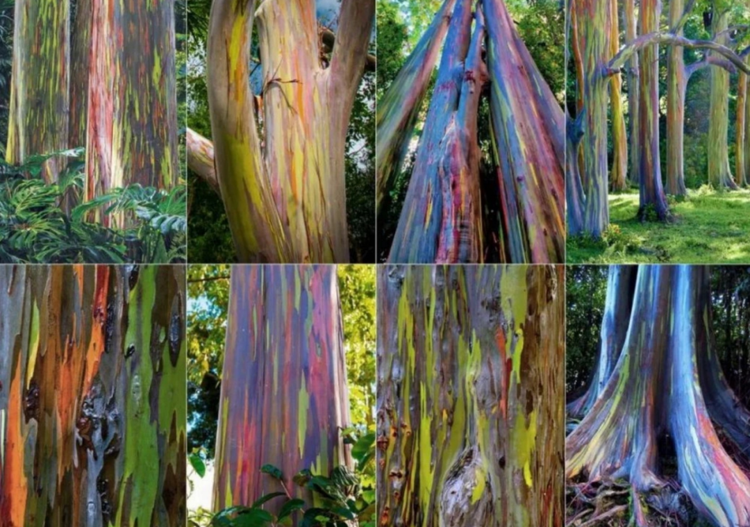 中外的“第四代住宅”的深度案例总丨中国上海丨上海天华-33