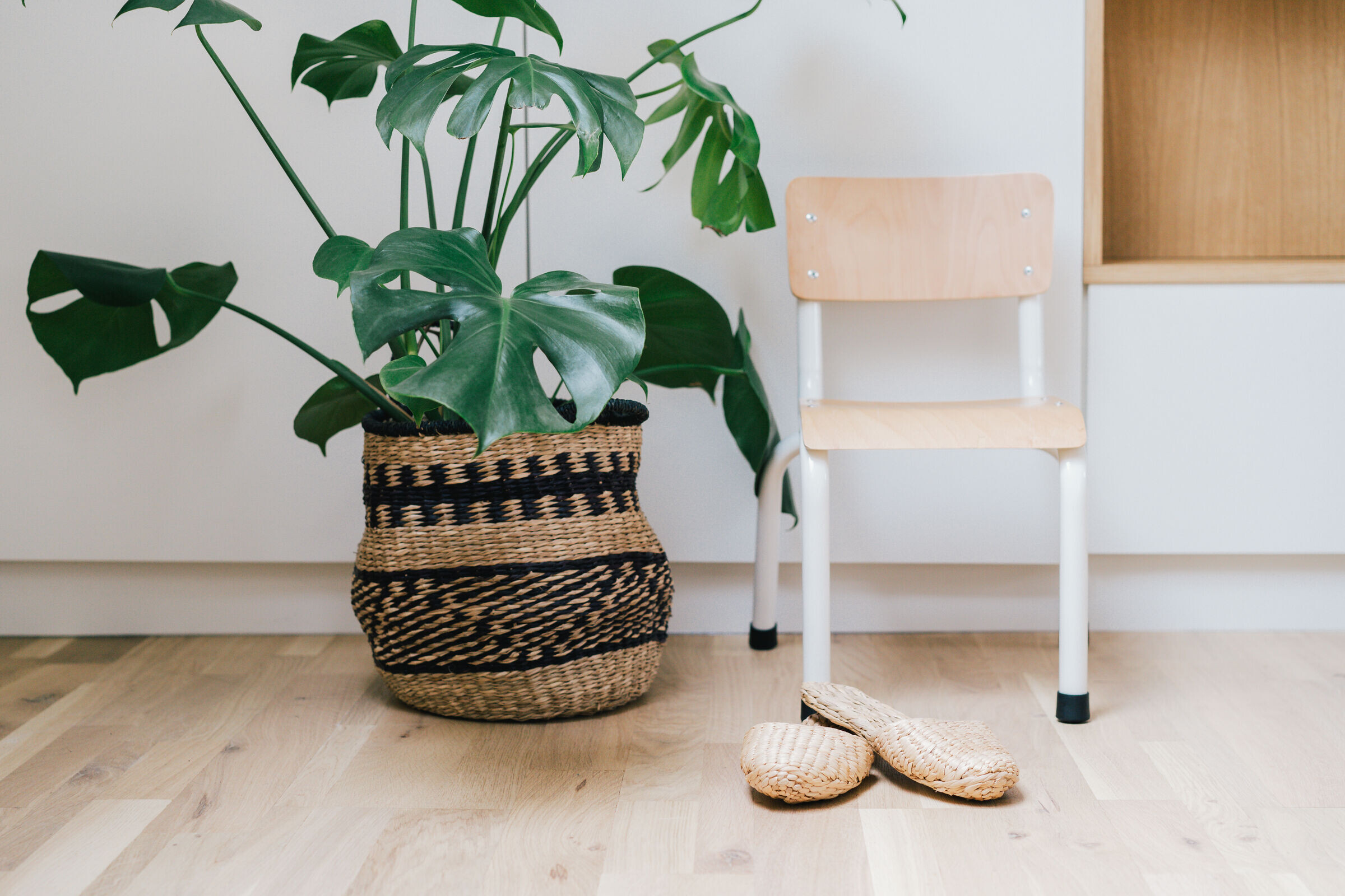 比利时 90 年代系列房屋的改造丨Studio Toto-12