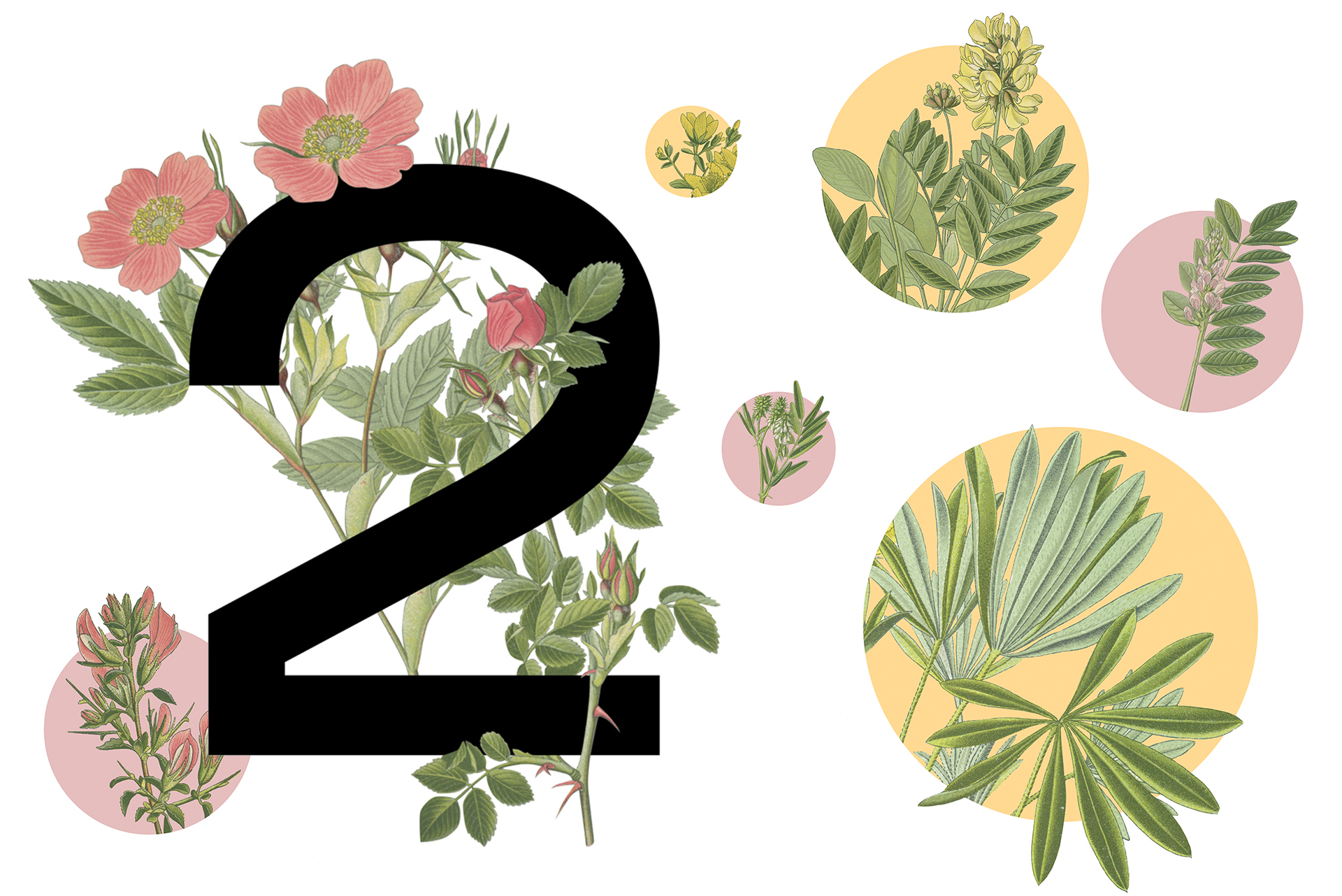 Resi4Rent 大楼导视系统与环境图形设计丨波兰克拉科夫丨blank studio,wayfinding studio-11