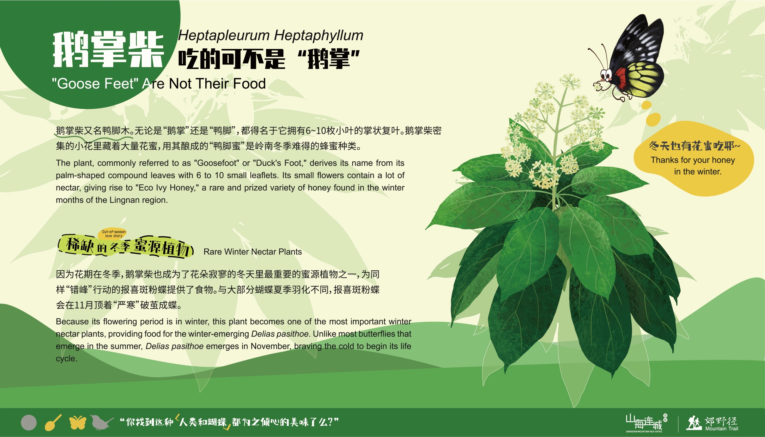 深圳市罗湖区东湖公园郊野径 – 莲塘口岸线丨中国深圳丨深圳市未名设计顾问有限公司 （WMLA）-141