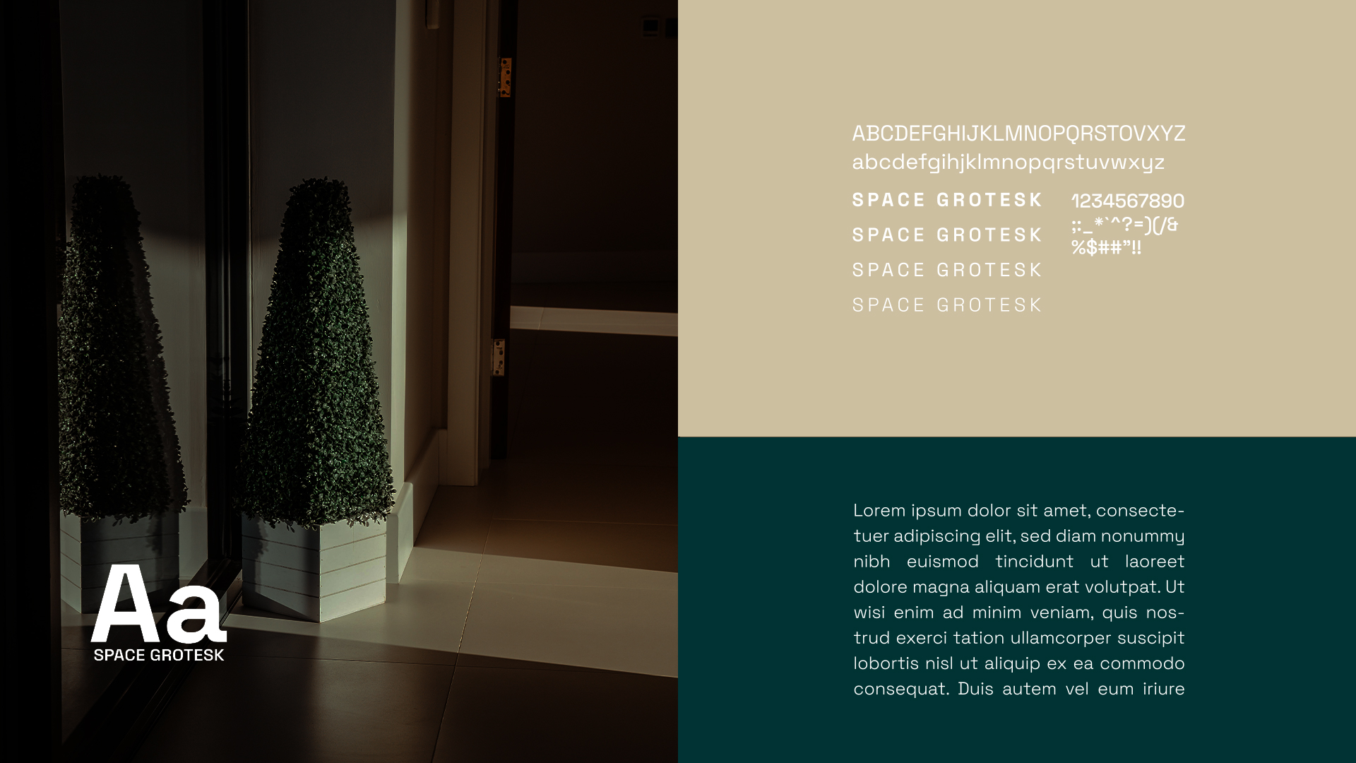 Clyesse 视觉形象设计-22