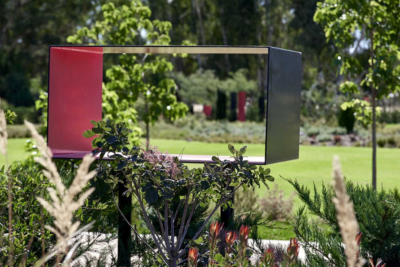 未来花园丨澳大利亚丨泰勒·卡利尔景观设计事务所-12