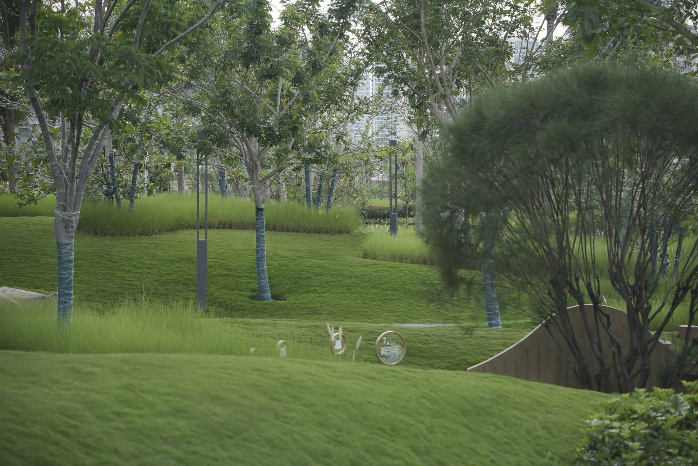 三亚崖州湾科技城通海公园五区丨中国三亚丨成都麦微景观建筑事务所-58