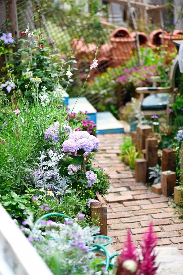 他建了座2亩的鲜花小院，满足你对花园的所有幻想-36