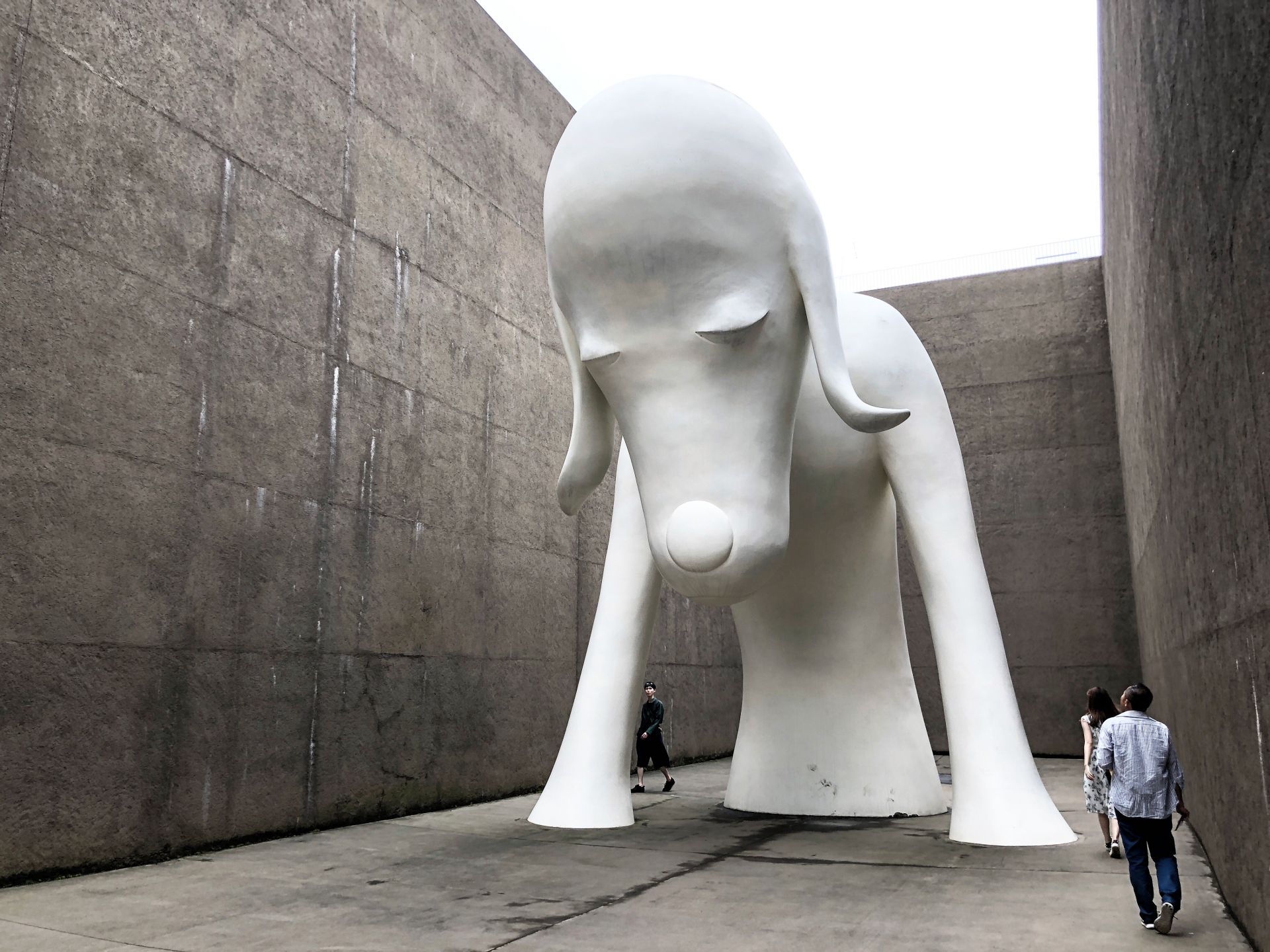 丨日本青森丨安藤忠雄,青木淳,西泽立卫,田根刚,西泽彻夫,浅子佳英等-25