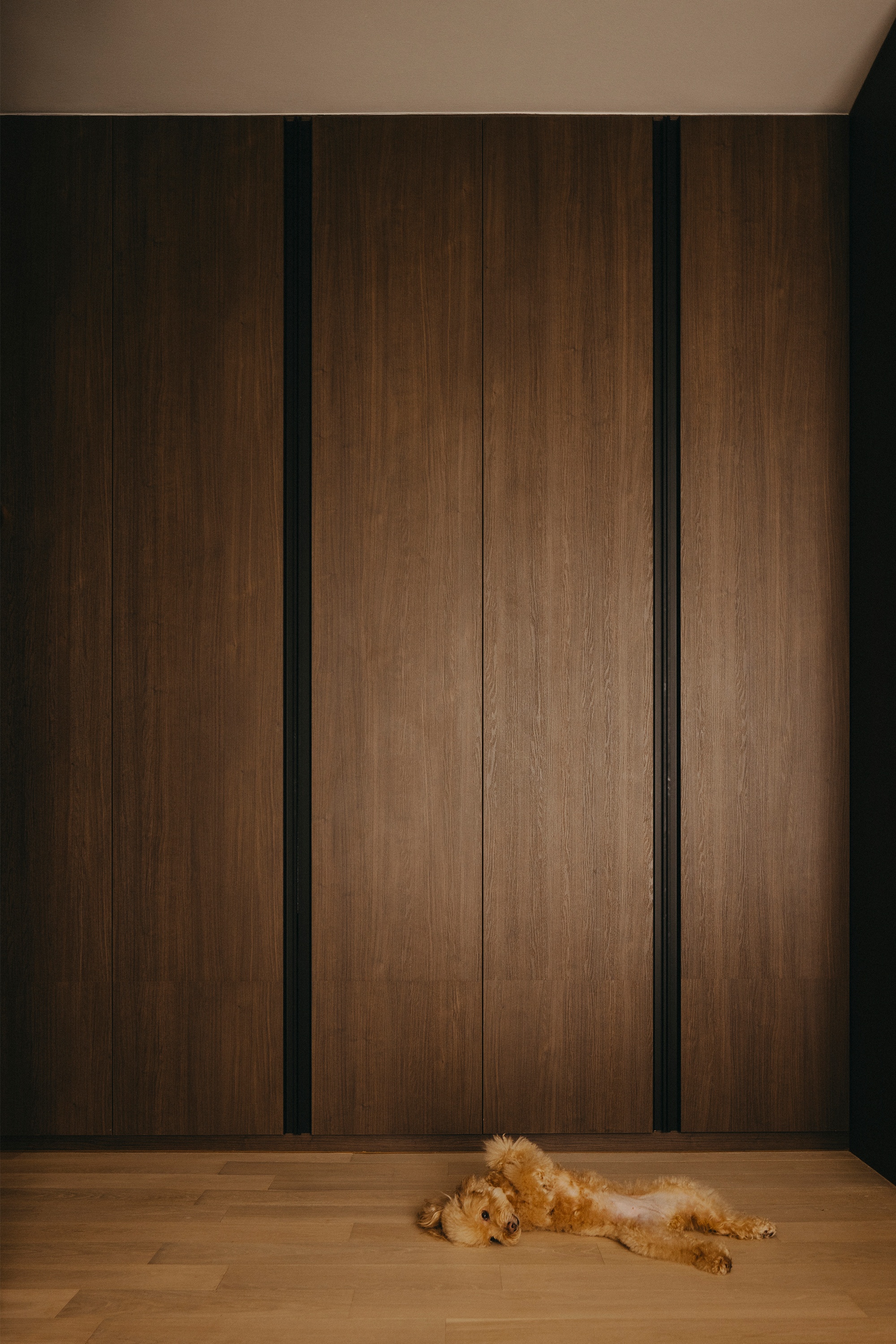 VPV住宅丨新加坡丨And Studio-16