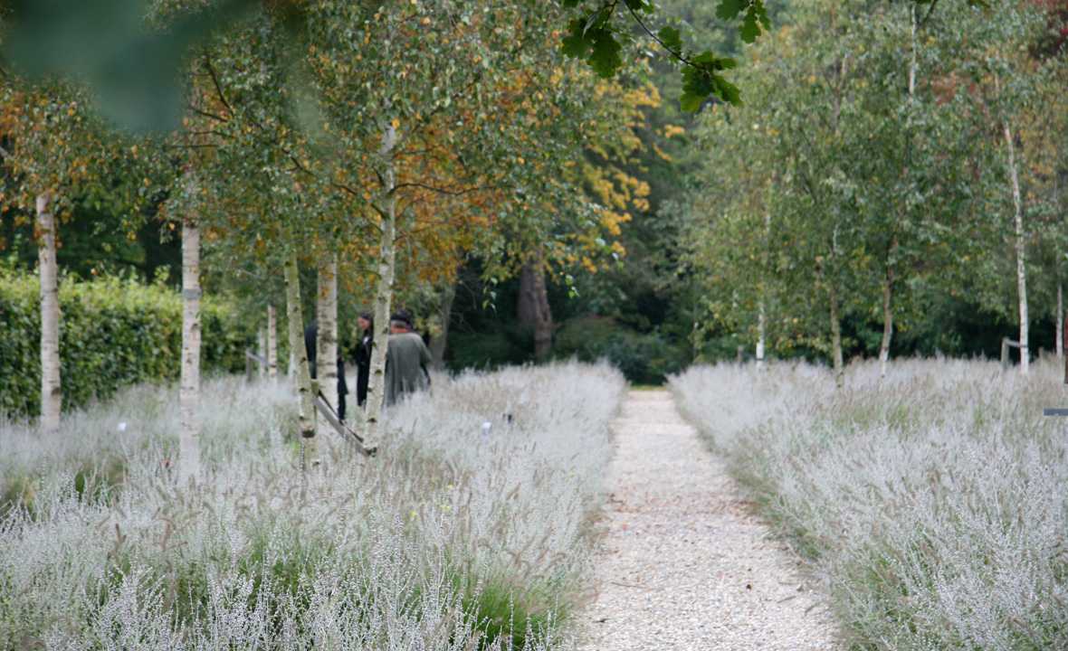 URN GARDEN 墓地景观丨荷兰阿姆斯特丹丨karres+brands-15