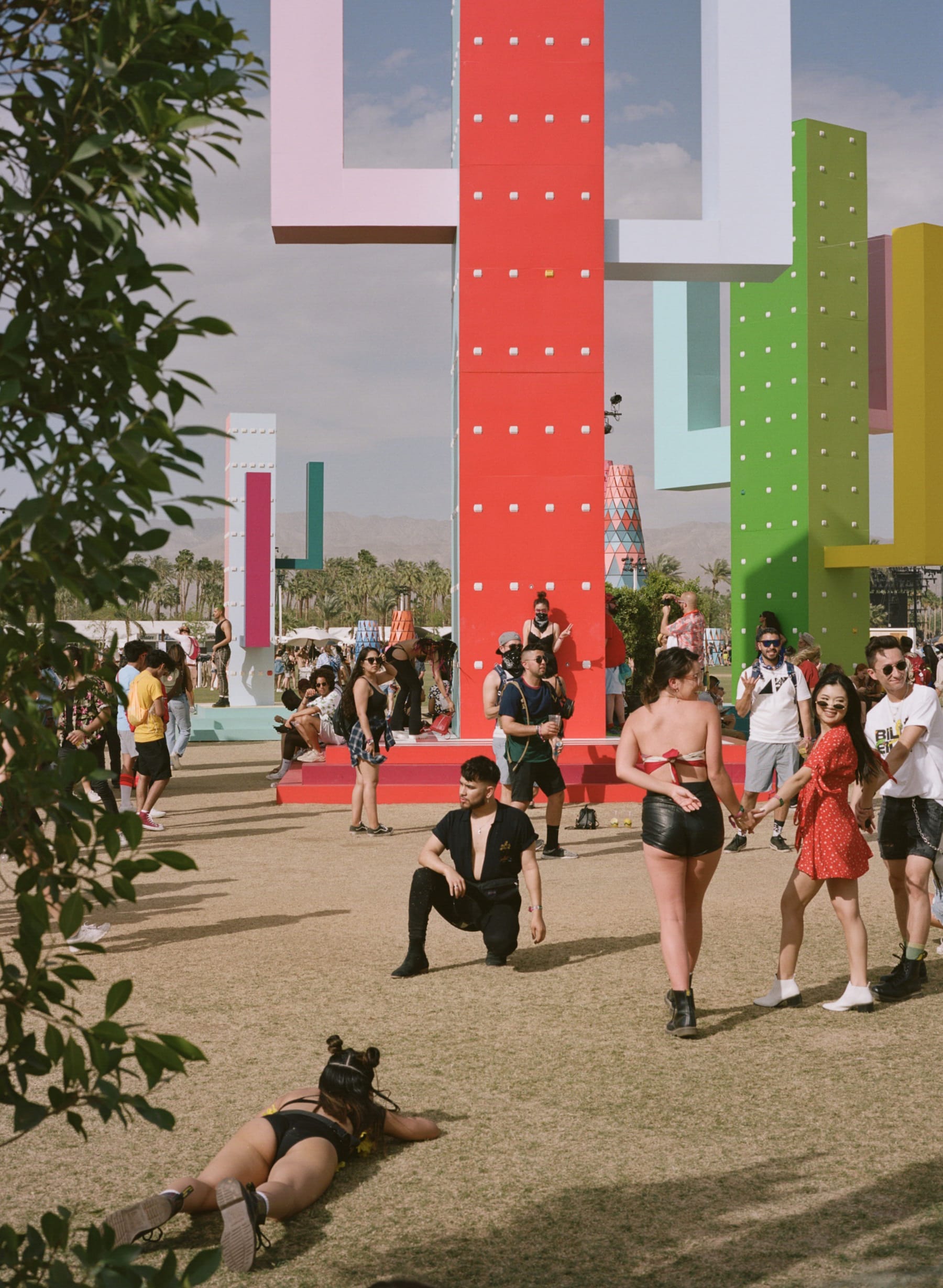 巨大仙人掌,科瓦奇办公室-22