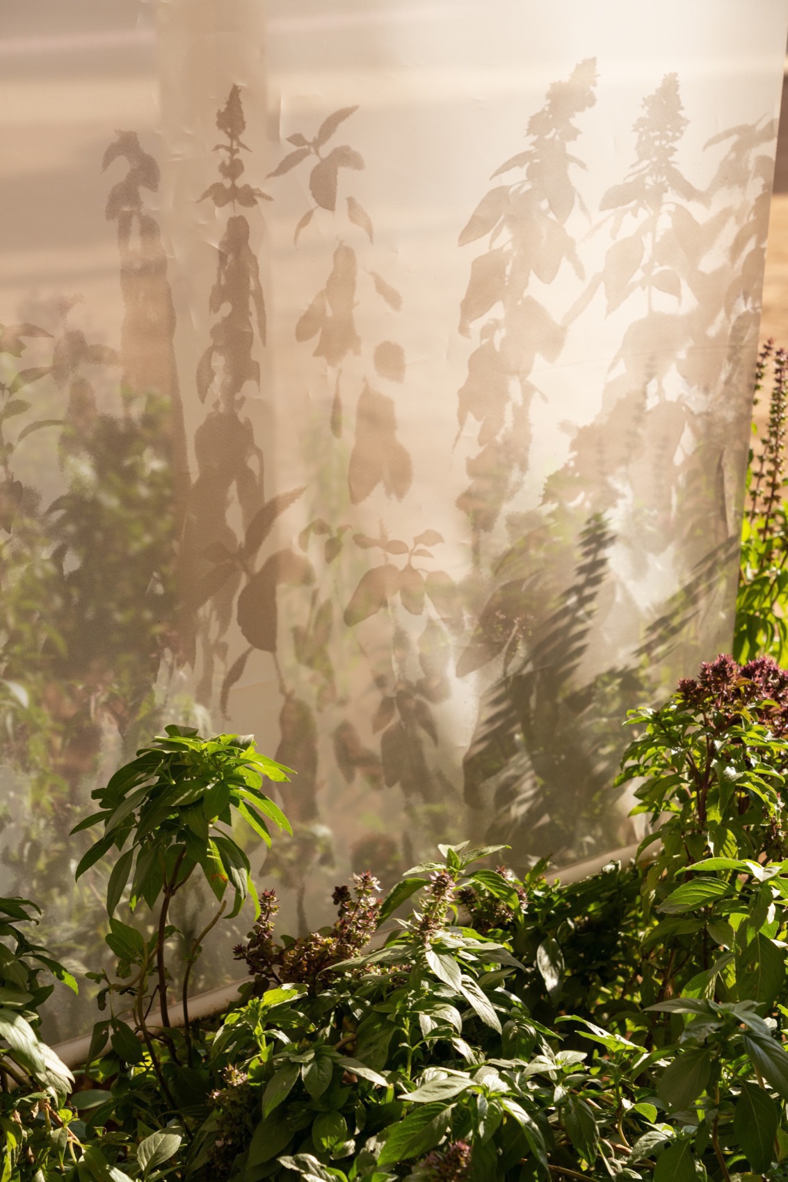 2025伊斯兰艺术双年展“其间的一切”丨沙特阿拉伯吉达丨国际知名建筑事务所OMA-209