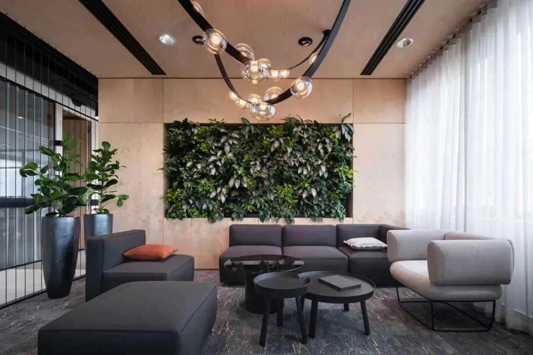 捷克Cape·us办公室丨Capexus-11