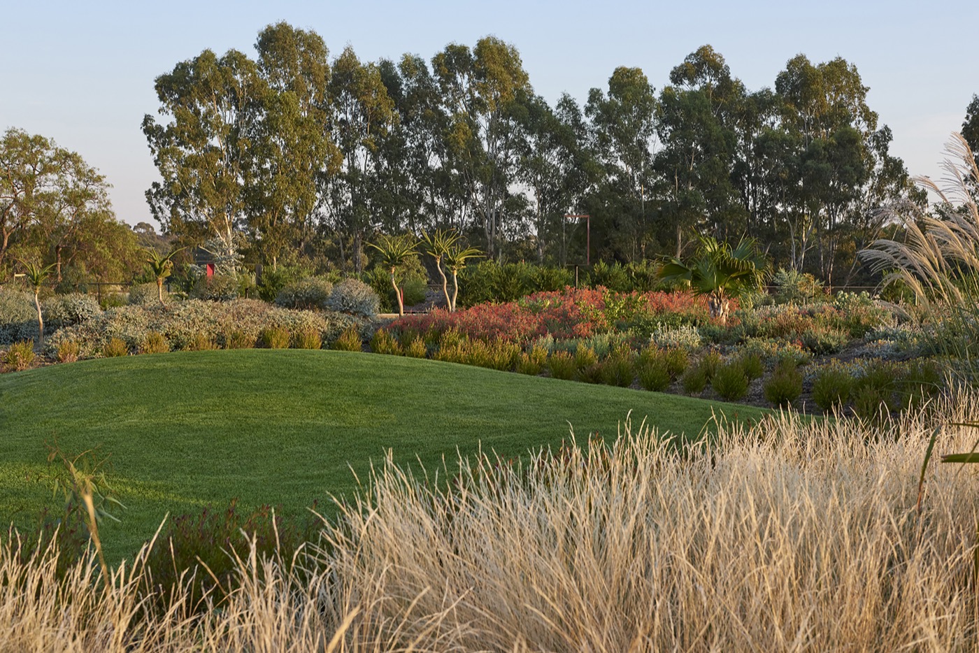 未来花园丨澳大利亚丨泰勒·卡利尔景观设计事务所-21
