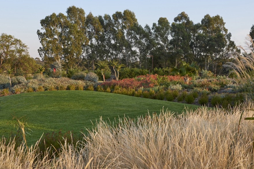 未来花园丨澳大利亚丨泰勒·卡利尔景观设计事务所-21