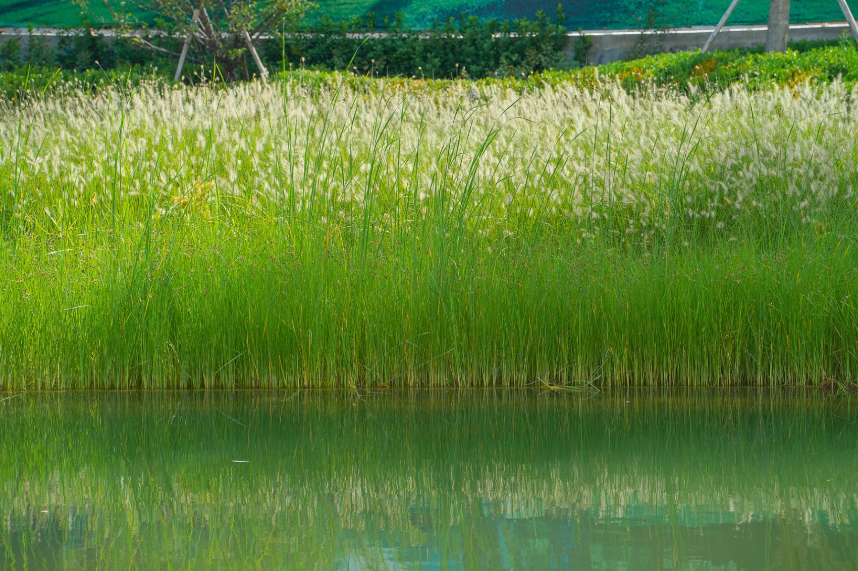 生态西川 · 郑州公园的绿色复兴丨中国郑州丨翰祥景观-112