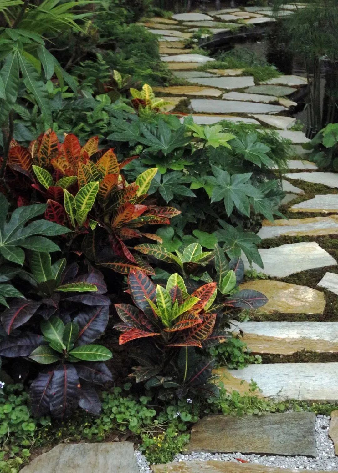 仲夏夜之梦 · 莎士比亚灵感的花园设计丨中国深圳丨Sarah Eberle(英国)-57