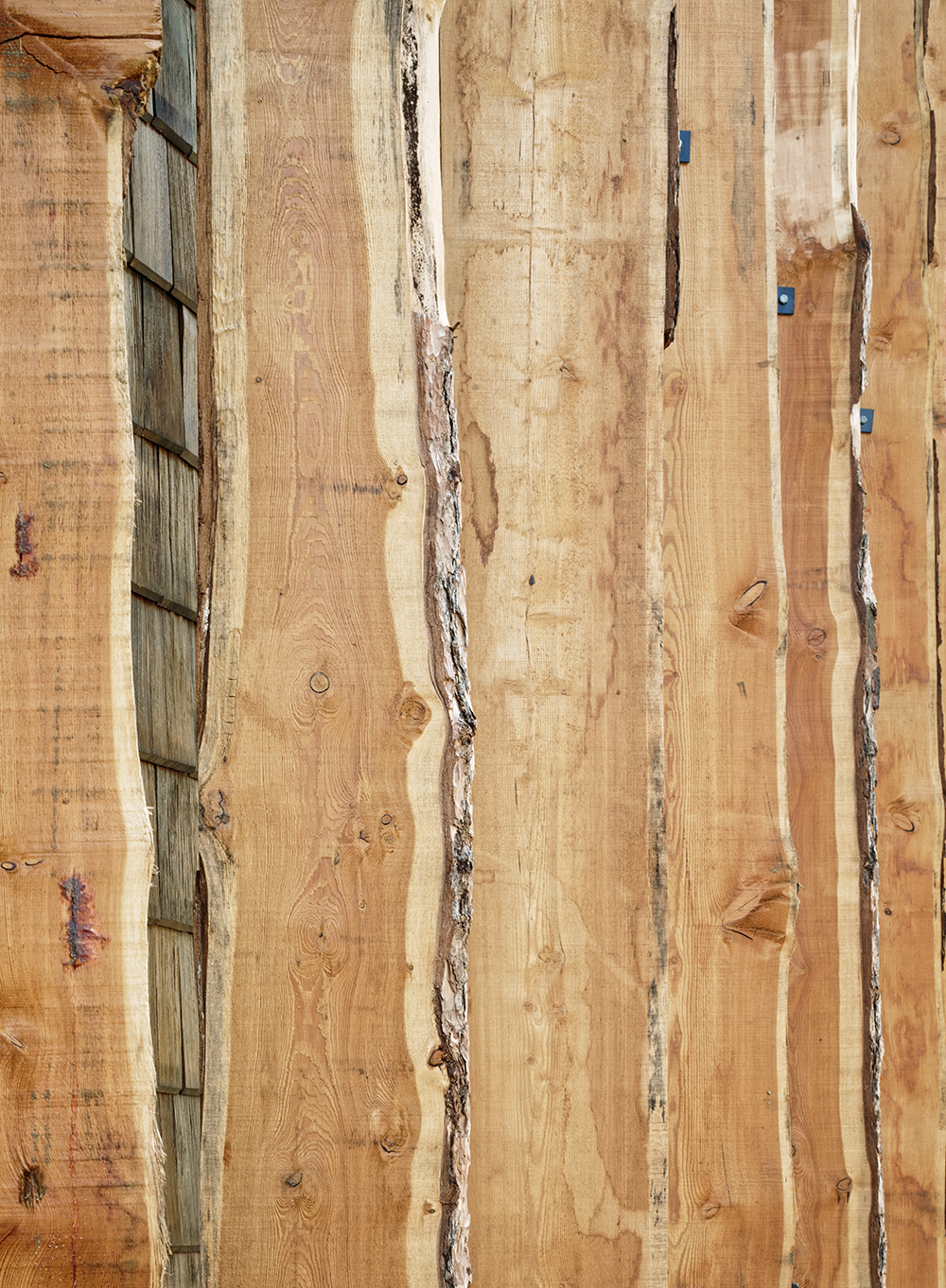 法国公共卫生总部-6