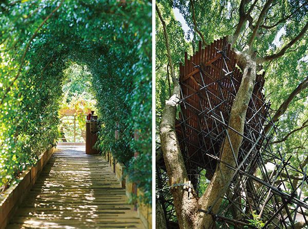 300老樹木屋計畫「熱海鳥居」（Kusukusu）丨日本丨日本小林崇,NAP Architects-15