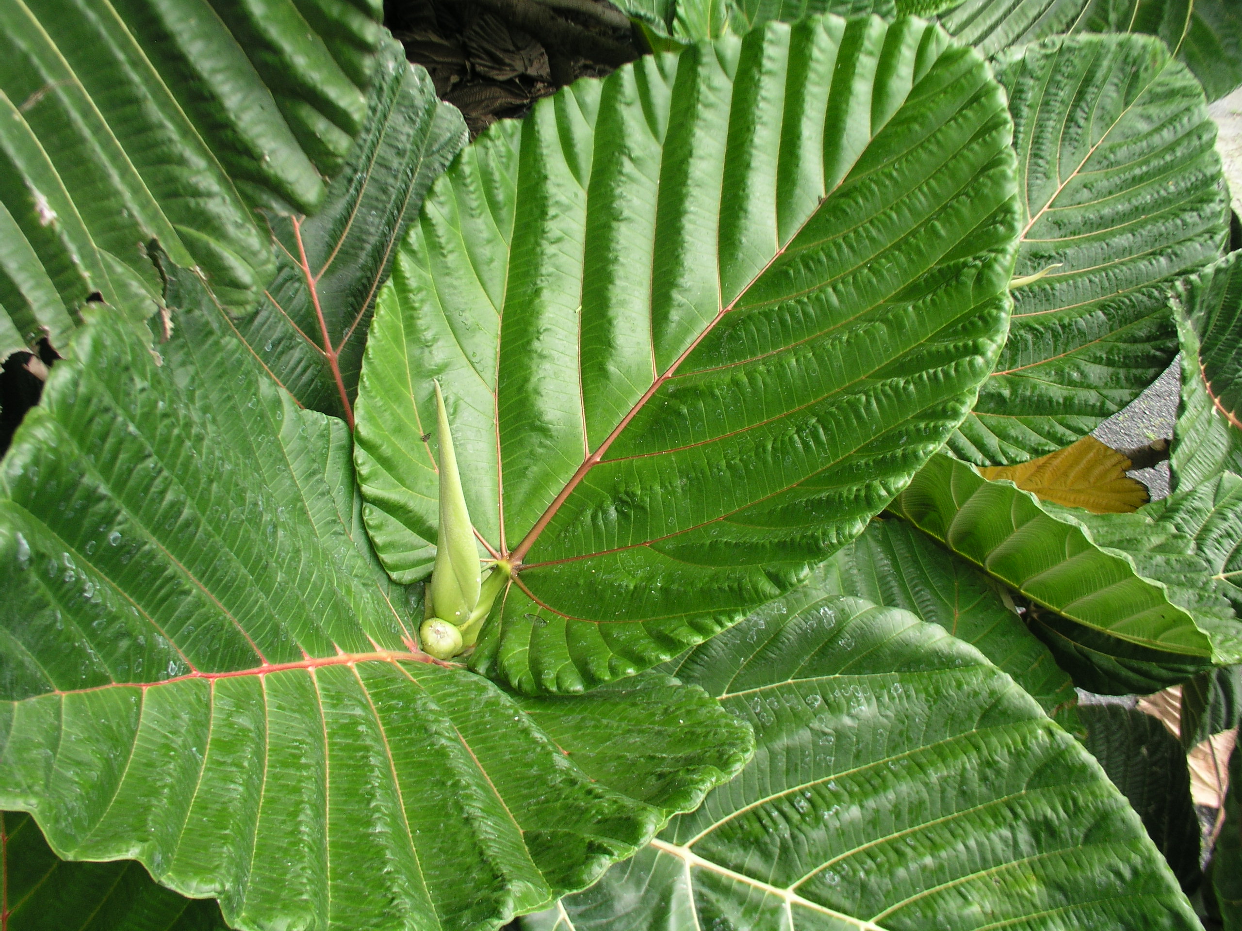 丨无相关信息-12