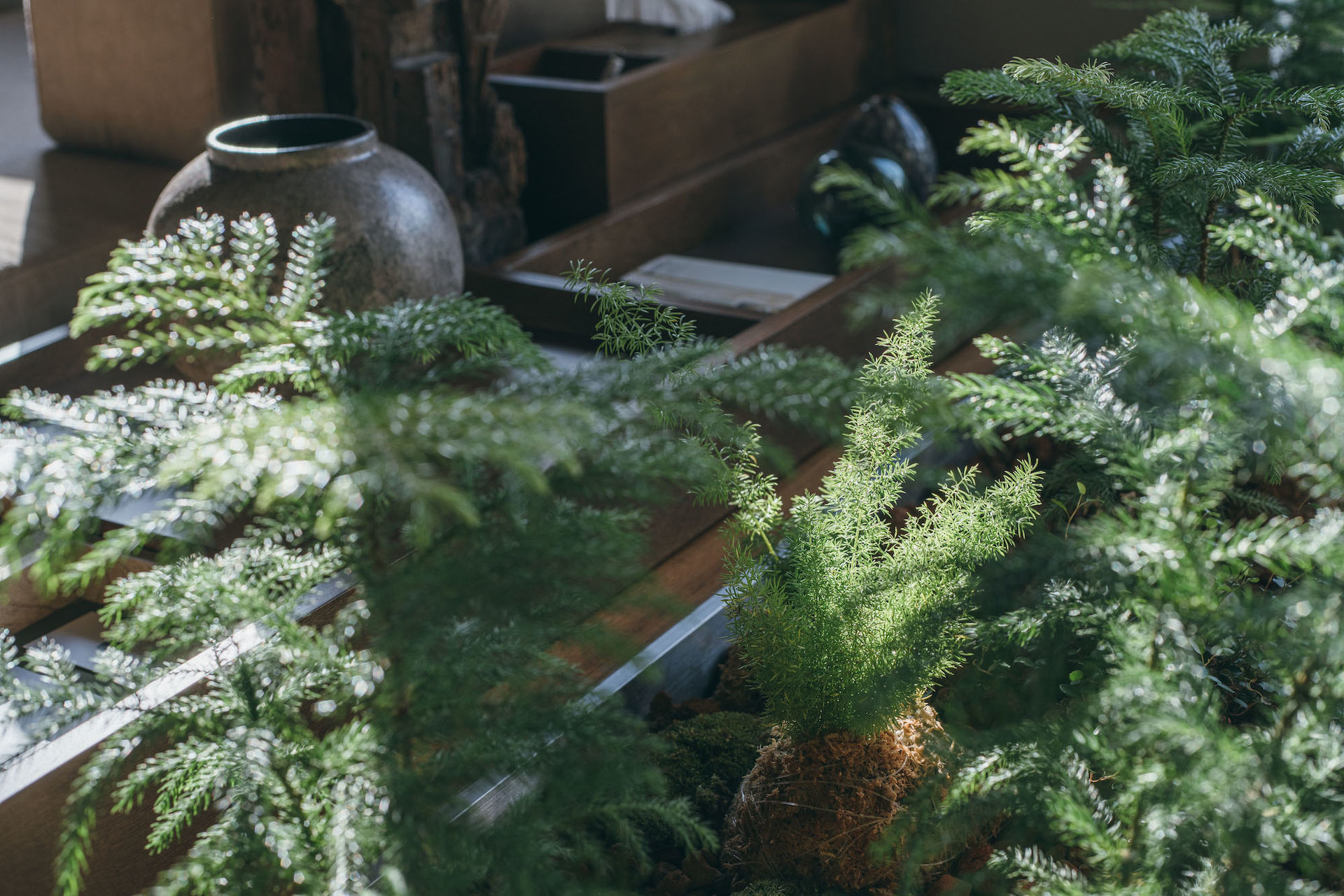 Z_Lab 设计 | 低济州民宿（LOW JEJU）实景+方案+视频-9