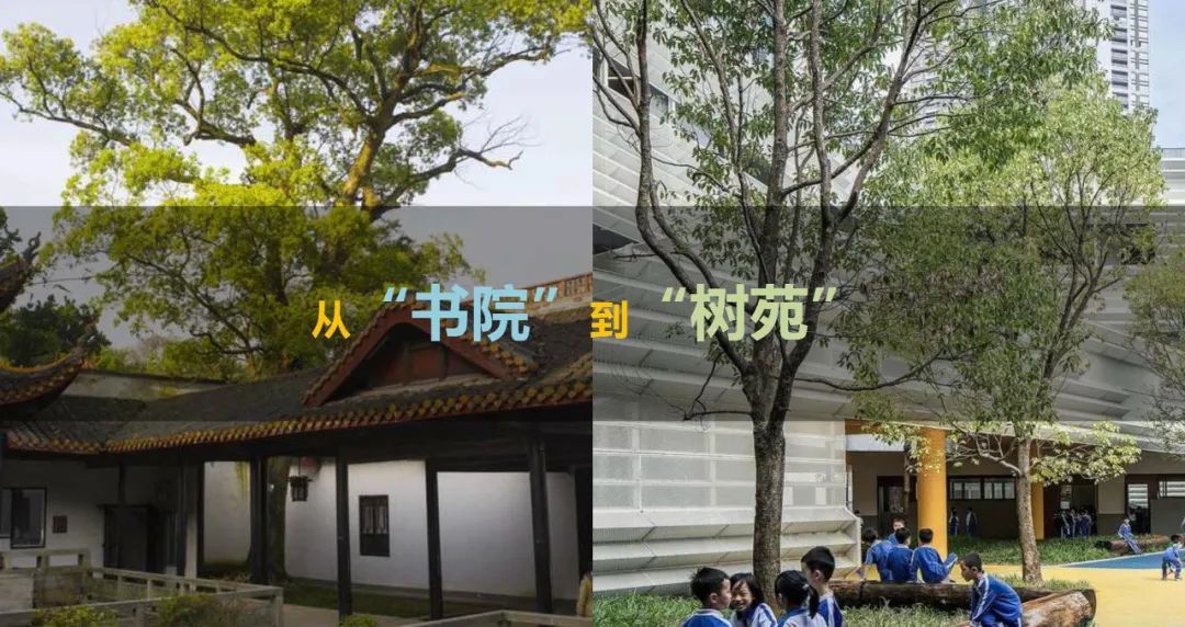 桂园中学改扩建丨中国深圳丨CCDI东西影工作室-47