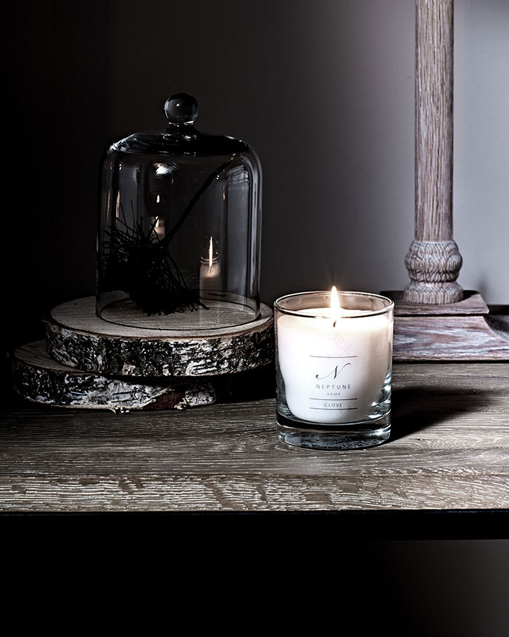 自然奇观 | Neptune 的圣诞装饰系列-11